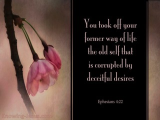 Ephesians 4:22 Take Off Your Former Ways (pink)